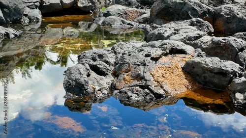 Reflection of cococut trees in sea water among black rocks tropical vegetation photo