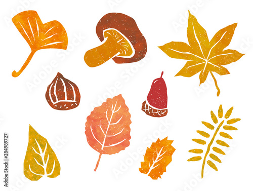 秋　紅葉　