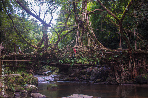 Living Root Bridge in Mawlynnong, Meghalaya, India