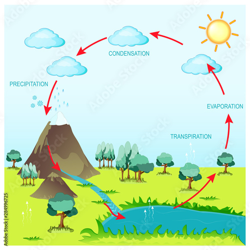 cycle water in nature environment.