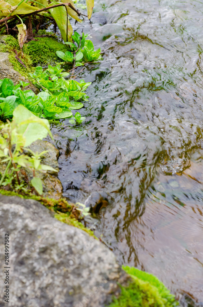A picturesque spring with clear water, stones and moss. The concept of calm. Zen A picturesque spring with clear water, stones and moss. The concept of calm. Zen
