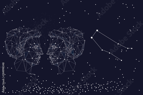 Zodiac sign Gemini. The symbol of the astrological horoscope. Horizontal banner.