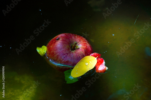 Red apple and yellow leaf fallen on a smalll pond with water.