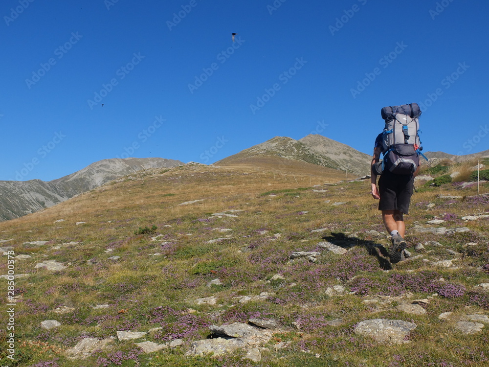 ranonneur en montagne sur crête avec des herbes jaunes