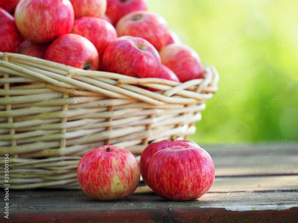 Part of basket of ripe apples, close-up. Apple harvest on the wooden table, outdoors, sunlight Part of basket of ripe apples, close-up. Apple harvest on the wooden table, outdoors, sunlight