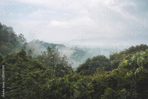 View of mountain with foggy after rain.