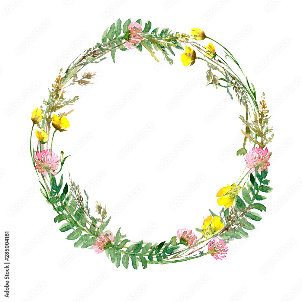 Fototapeta premium Watercolor drawing of wild meadow flowers, buds, inflorescences and leaves. Summer design. Design wallpaper, textiles, fabrics, textures, covers, packaging and wrapping paper. Design element .