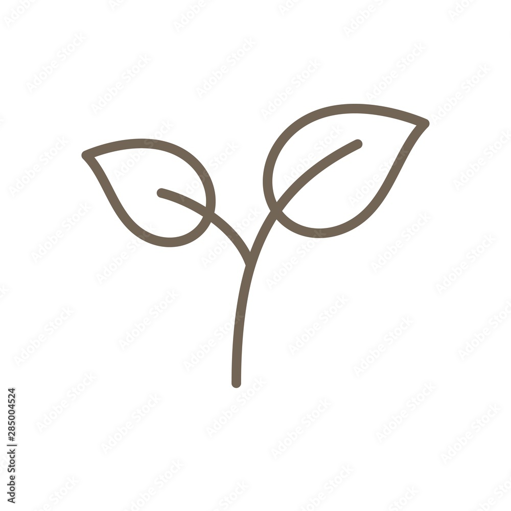 Green tea leaves vector icon, line style Green tea leaves vector icon, line style