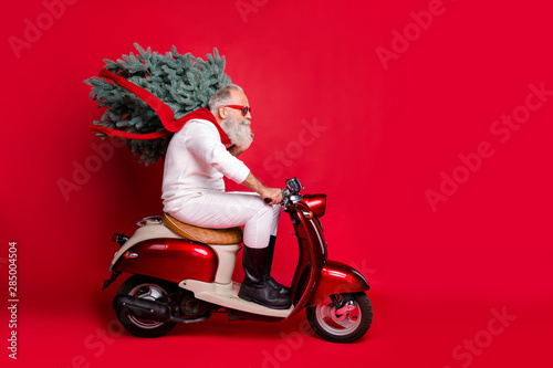 Full body profile side photo of handsome pensioner carrying fir tree wearing eyewear eyeglasses driving bike wearing pullover pants trousers isolated over red background