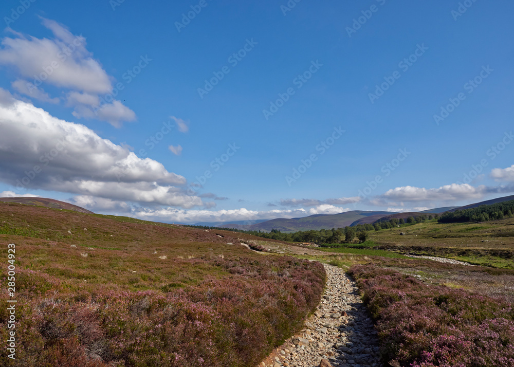 Obraz premium Looking down the Mt Keen Footpath towards Invermark in the Angus Glens, on one warm Summers July afternoon. Angus, Scotland.