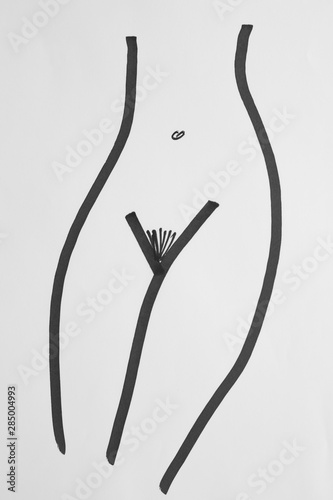 Self Made drawing of a woman's body. The photograph shows the female genital area.