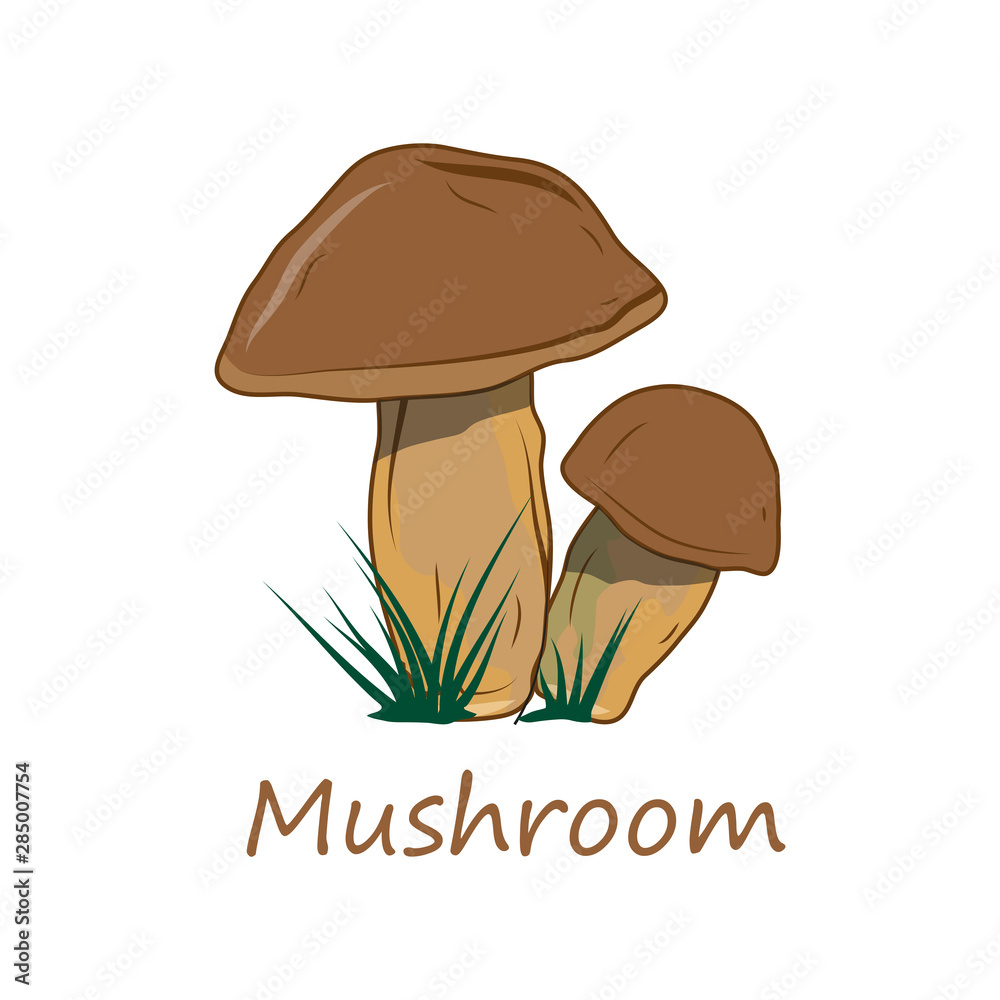 Mushrooms. Raw Mushrooms. Forest Food. Fresh Mushrooms for Raw Food Diet. Fresh Natural Vegan Product. Plant Food. Healthy Food. Vector graphics to design.
