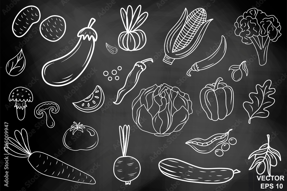 Fototapeta Chalk board. Hand drawing. Vegetables. Set. For your design. Healthy eating