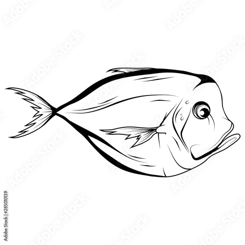 Hand Drawn Atlantic Moonfish (Selene Setapinnis). Sea Food. Moonfish. Sea Fish.Tasty Seafood. Ocean Sport Fishing. Fresh Seafood Product. Fish Meal Diet. Fishing. Vector graphics to design.