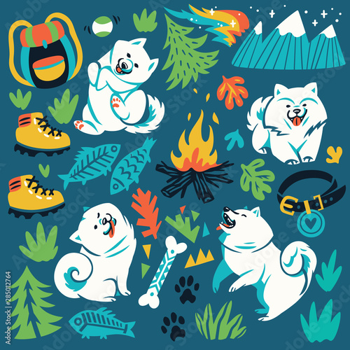 Fototapeta Naklejka Na Ścianę i Meble -  White fluffy puppies and hiking, travelling, adventure elements. Vector illustration