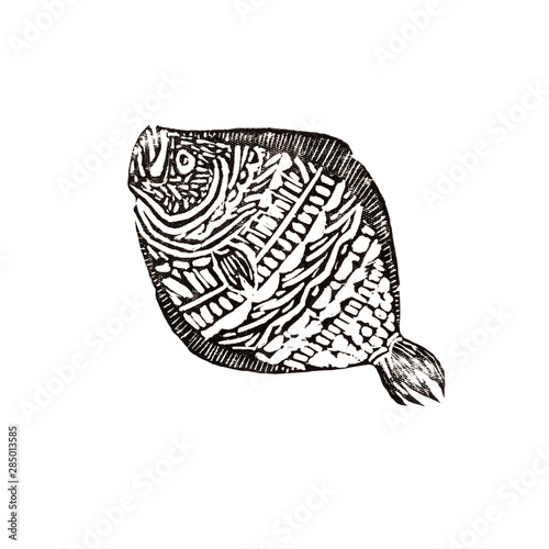 Linocut with a picture of flounder . Black print on white background
