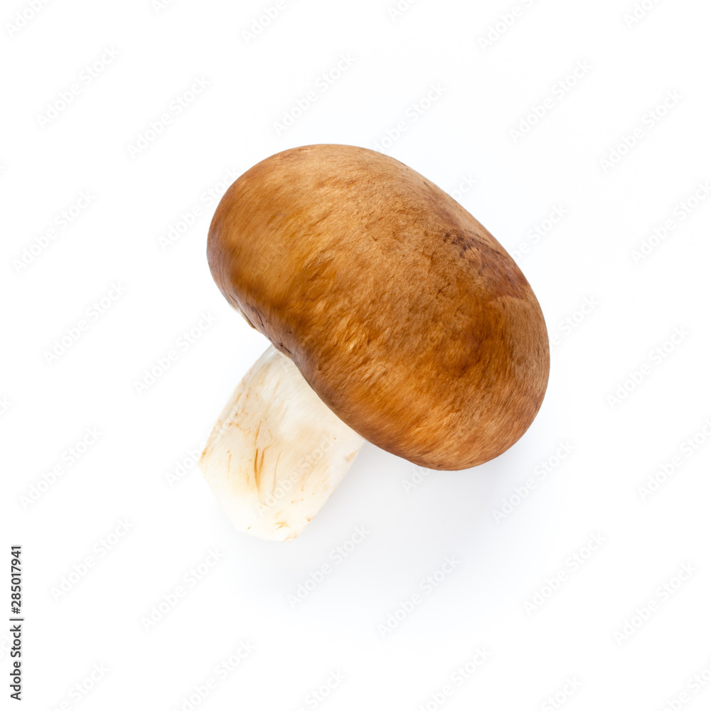 Fresh champignon mushrooms isolated on white. Fresh champignon mushrooms isolated on white.