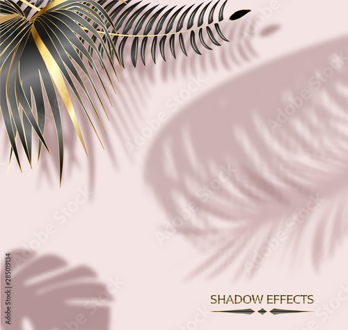 The shadow of the window frame and leaves of tropical plants, natural light interior design