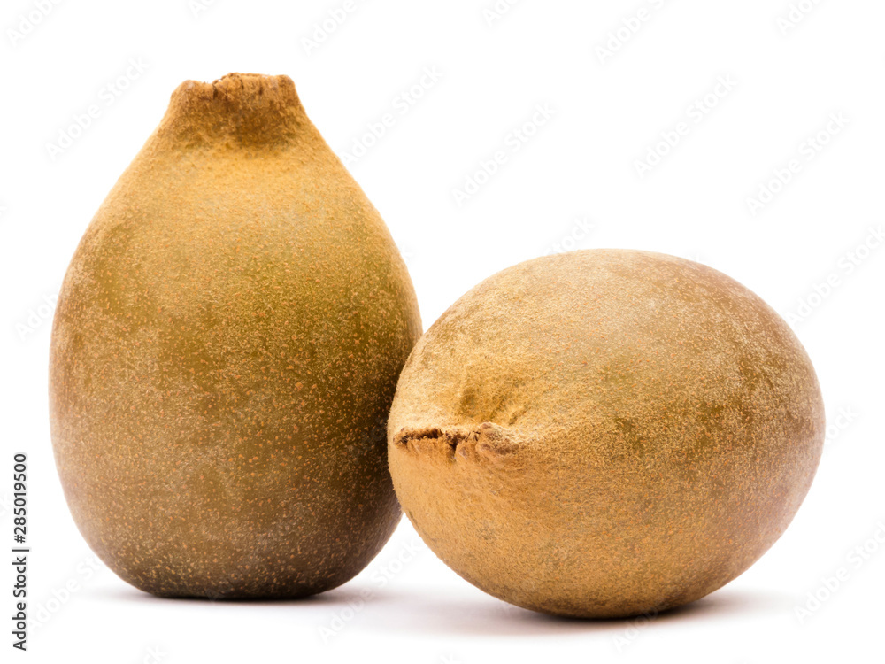 Golden Kiwis Isolated