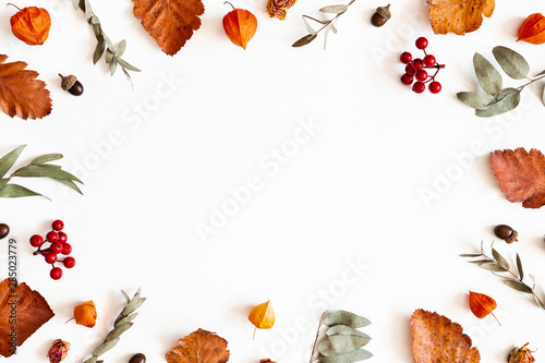 Autumn composition. Physalis flowers, eucalyptus leaves, rowan berries on white background. Autumn, fall, thanksgiving day concept. Flat lay, top view, copy space