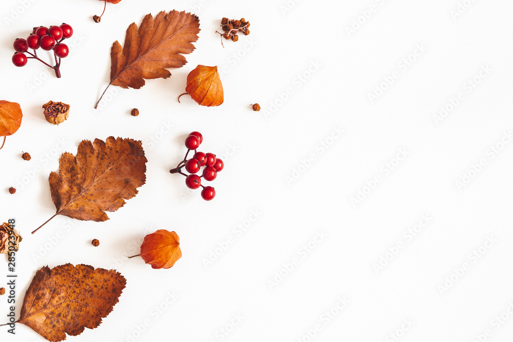 Fototapeta Jesienna kompozycja. Suszone liście, kwiaty, jagody jarzębiny na białym tle. Jesień, jesień, koncepcja Święto Dziękczynienia. Płaski układanie, widok z góry, kopia przestrzeń