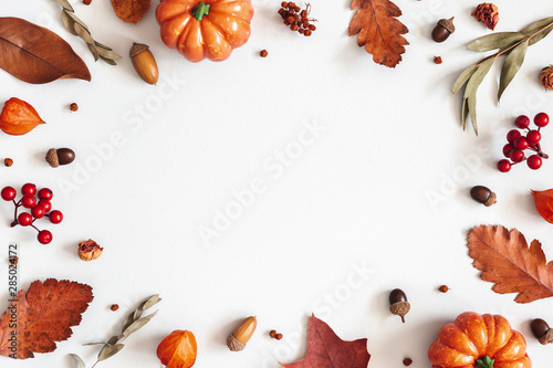 Autumn composition. Dried leaves, pumpkins, flowers, rowan berries on white background. Autumn, fall, halloween, thanksgiving day concept. Flat lay, top view, copy space photo