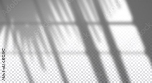 Realistic transparent drop shadow of window with palm branch on a wall, overlay effect for photo, design presentation. Vector illustration