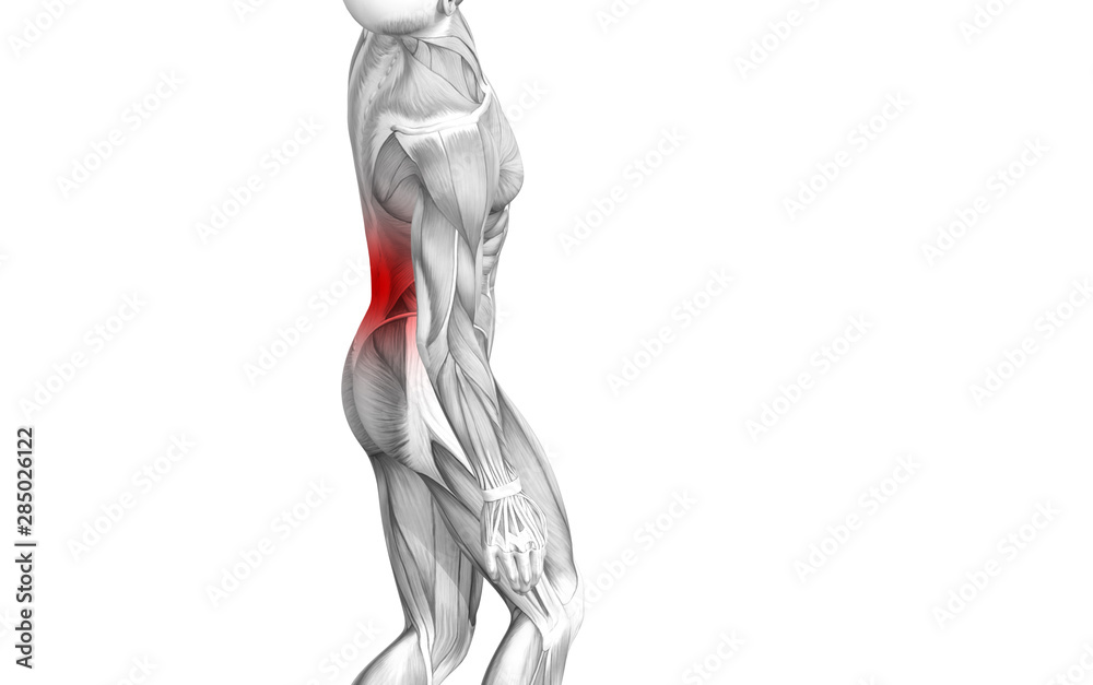 Conceptual back human anatomy with red hot spot inflammation articular joint pain or spine health care therapy or sport muscle concepts. 3D illustration man arthritis or bone sore osteoporosis disease Conceptual back human anatomy with red hot spot inflammation articular joint pain or spine health care therapy or sport muscle concepts. 3D illustration man arthritis or bone sore osteoporosis disease