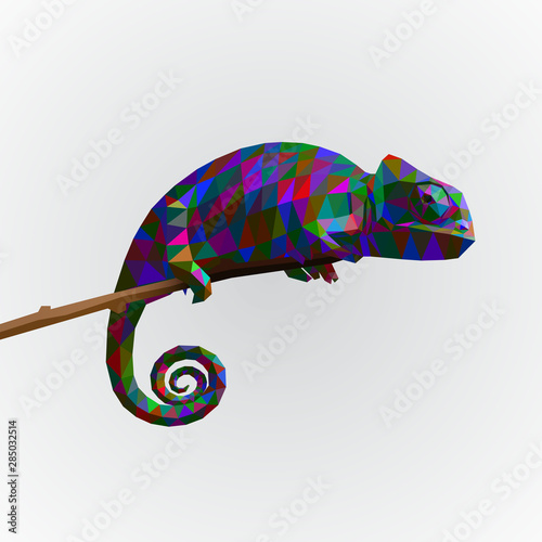 Colorized chameleon on a stick. Low poly design. Vector, EPS 10