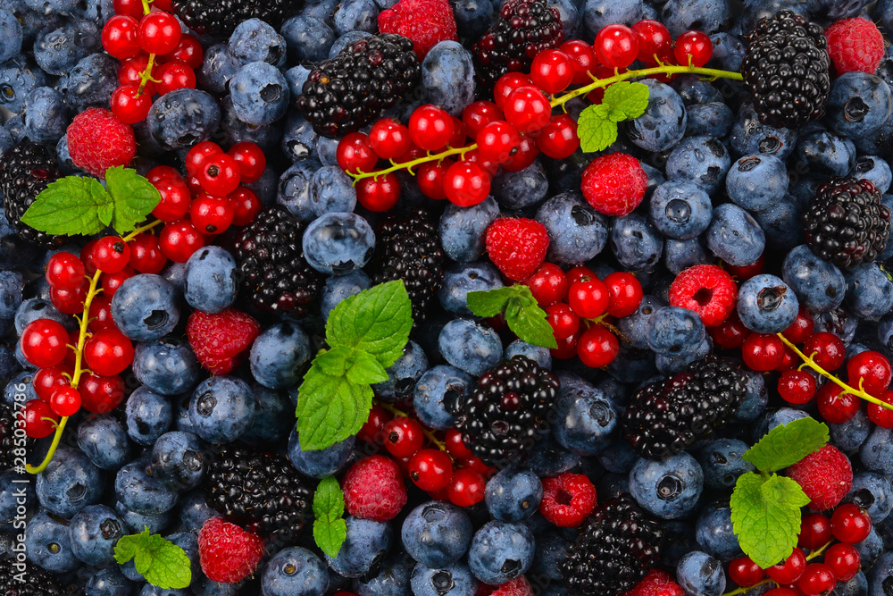 Blackberry, raspberry, blueberry, red currant and mint background. Blackberry, raspberry, blueberry, red currant and mint background.