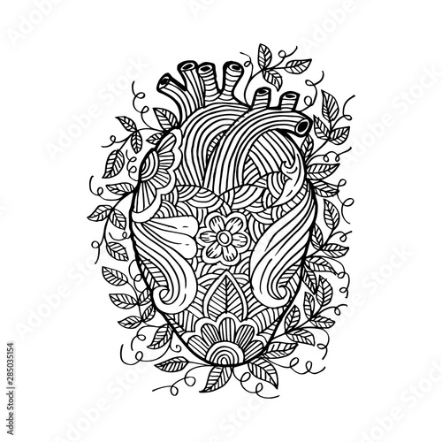 Hand drawing sketch human heart .