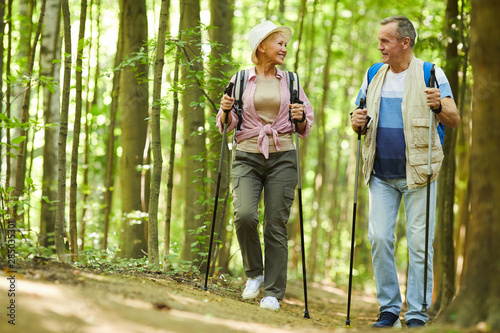 Healthy senior hikers exercising together they walking in the forest during their hike