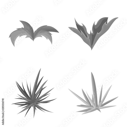 Vector design of foliage and floral logo. Collection of foliage and summer vector icon for stock.