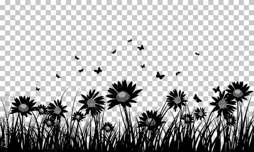 Meadow background