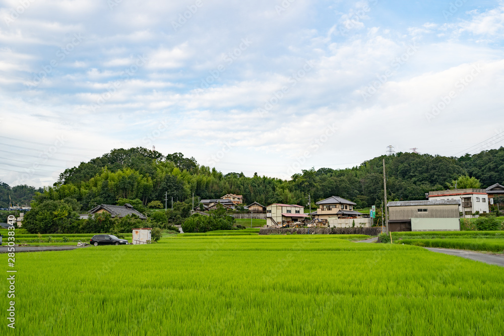 Landscape of Nara Landscape of Nara