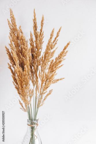 Still life of a bouquet of dried flowers in a glass bottle on a white background. Place for text or advertising