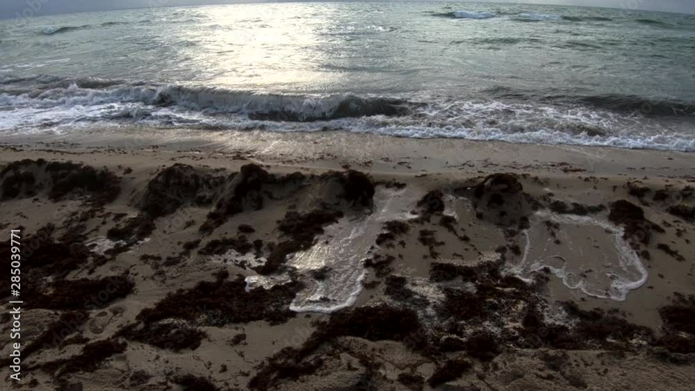 Slow motion ocean water wave spills over fine sand shore, Miami Beach Slow motion ocean water wave spills over fine sand shore, Miami Beach