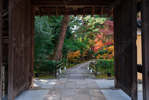 京都 鹿王院の紅葉