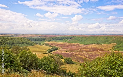 A deep valley in the North York Moors.