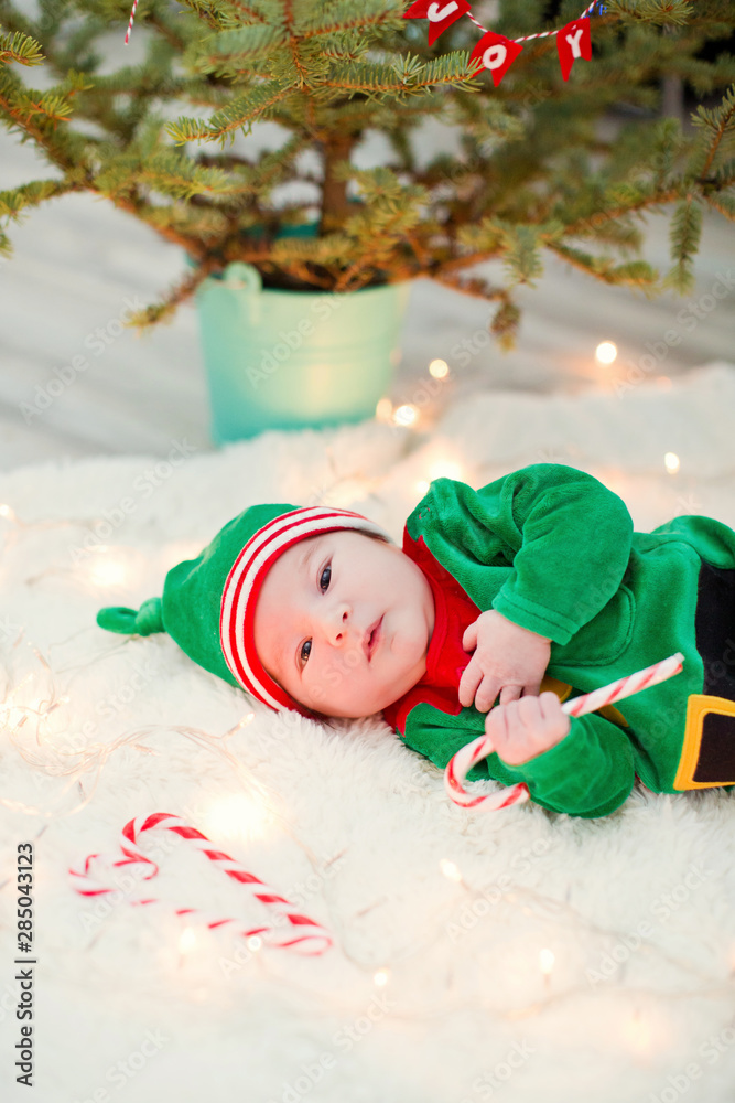 newborn baby elf near Christmas tree with lights,hold candy cane