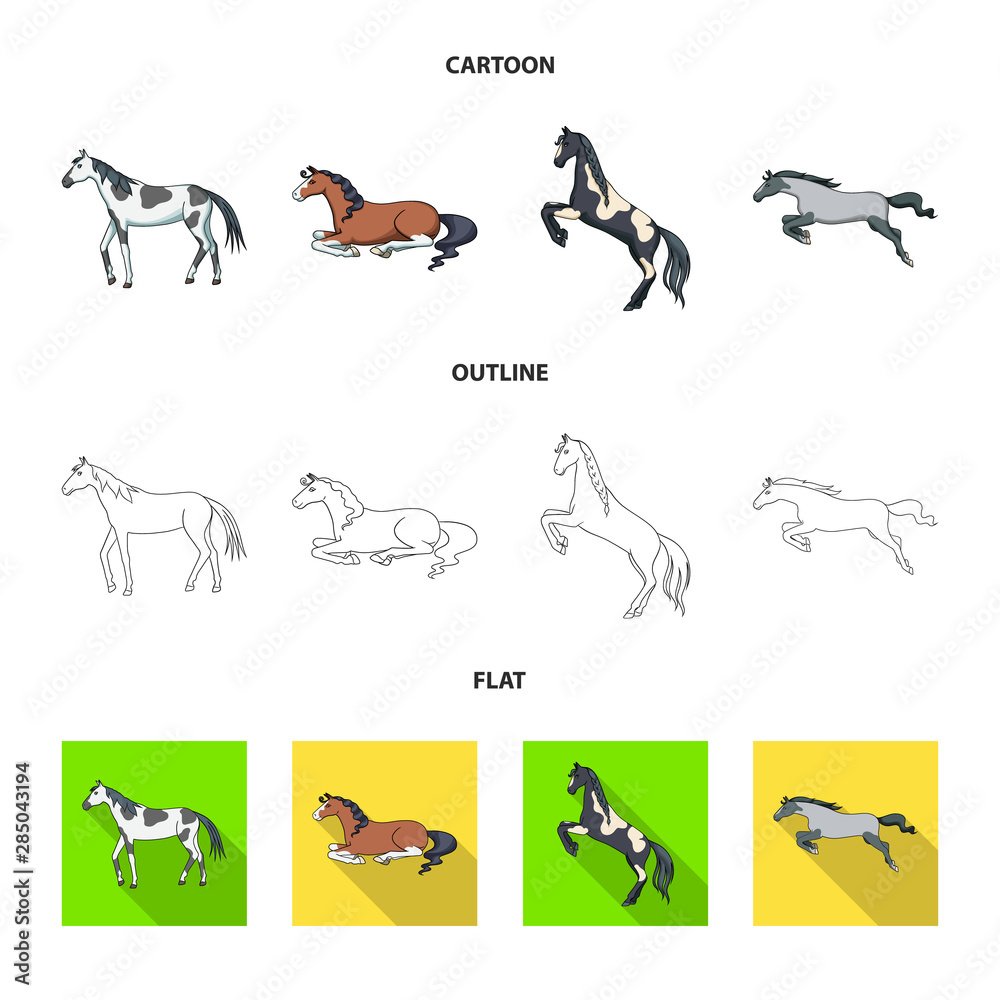 Isolated object of breed and equestrian symbol. Set of breed and mare stock symbol for web.