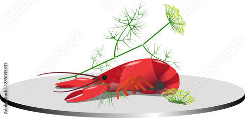 A cooked red Crayfish with Crown dill on a plate.