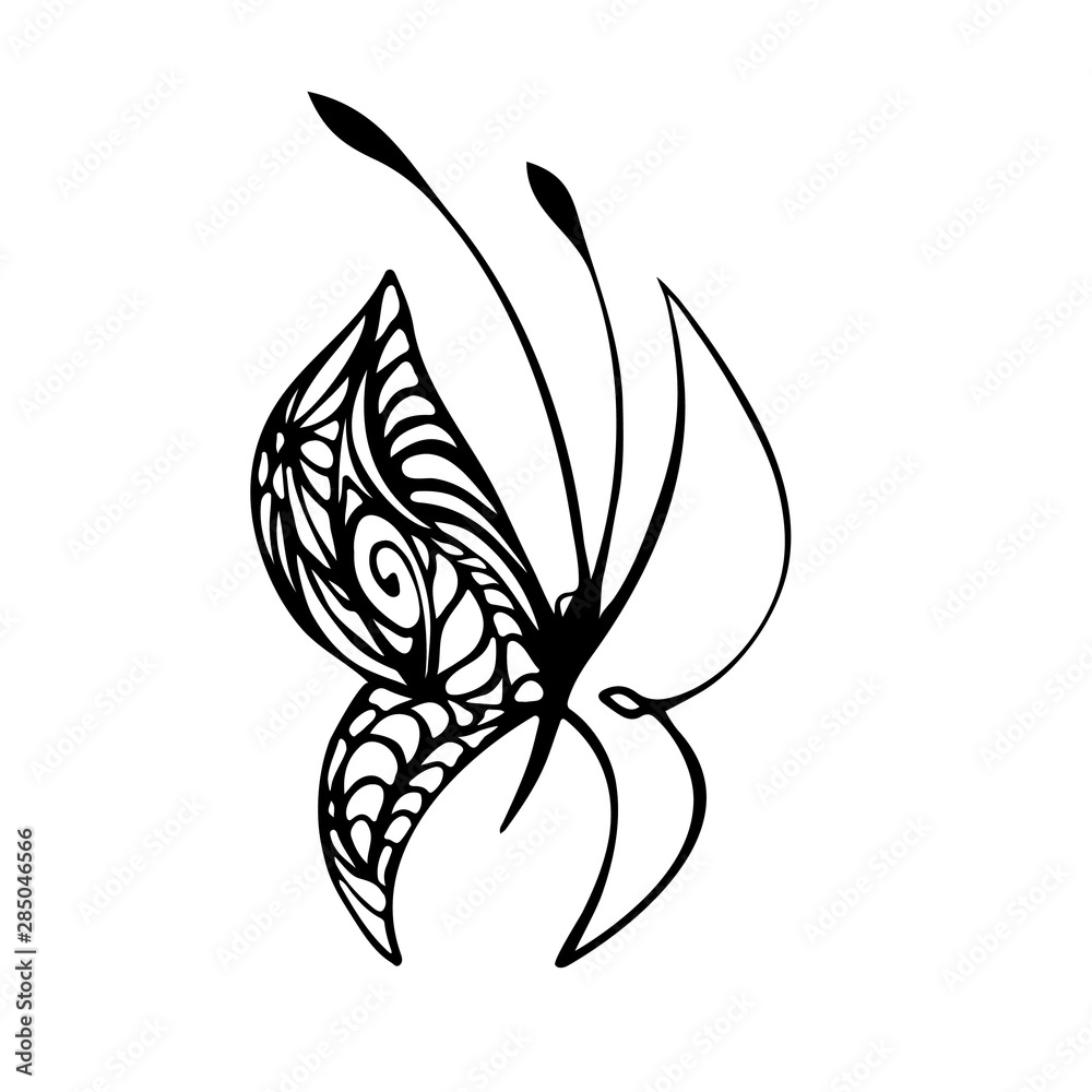 Elegant vector butterfly isolated on white background. Elegant vector butterfly isolated on white background.
