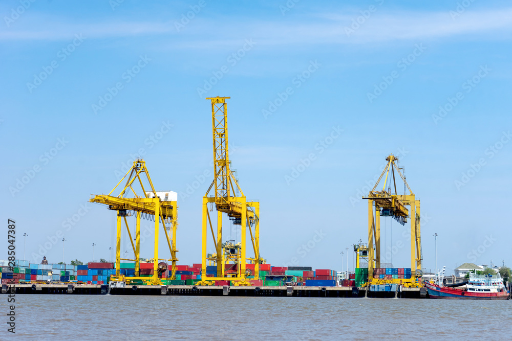 Obraz premium Group of big crane near the river ,