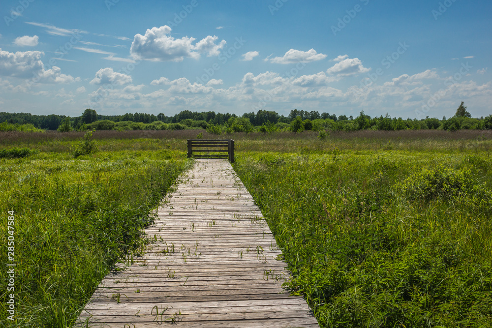 Footbridge in Kampinoski National Park in Granica, Poland