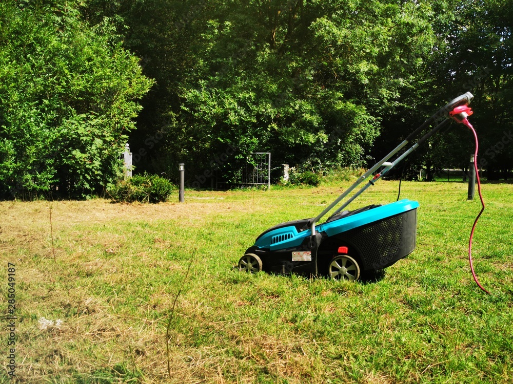 Fototapeta premium lawn mower on green grass