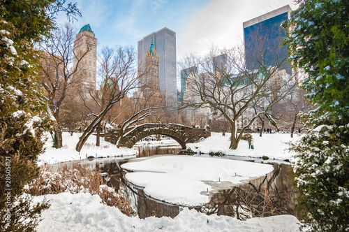Photography Winter in Central Park, New York, United States.
