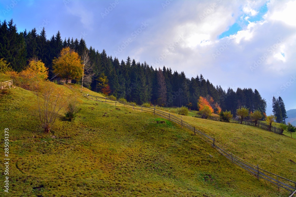 a mountain slope with autumn trees a mountain slope with autumn trees
