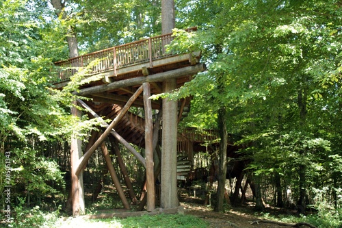 Treetop walkpath in Hetvehely from below, Mecsek photo