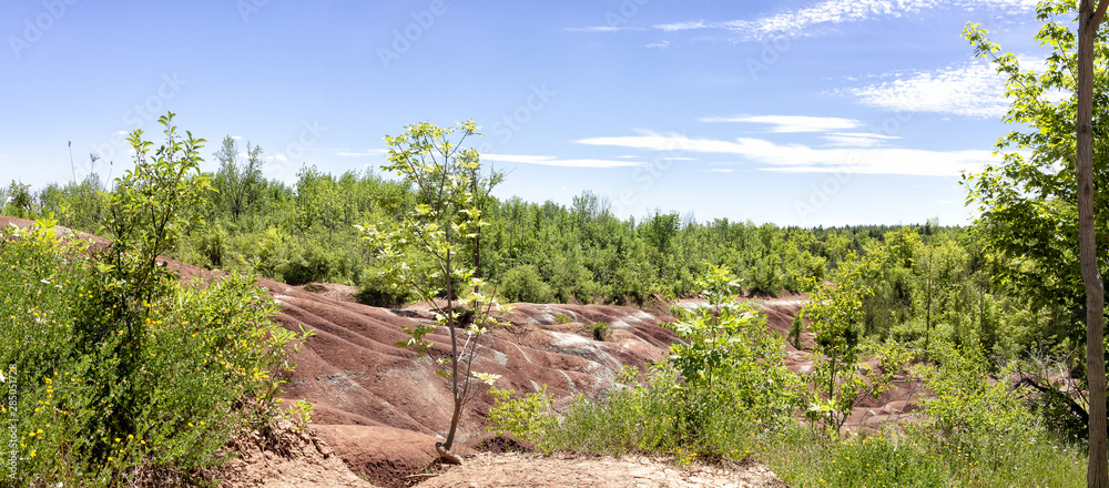 The Cheltenham Badlands in Caledon in summer, Ontario, Canada. “Badlands” is a geologic term for an area of soft rock devoid of vegetation and soil cover.
